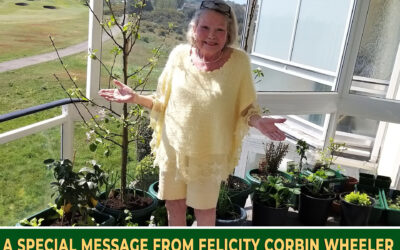 Felicity’s Last Message