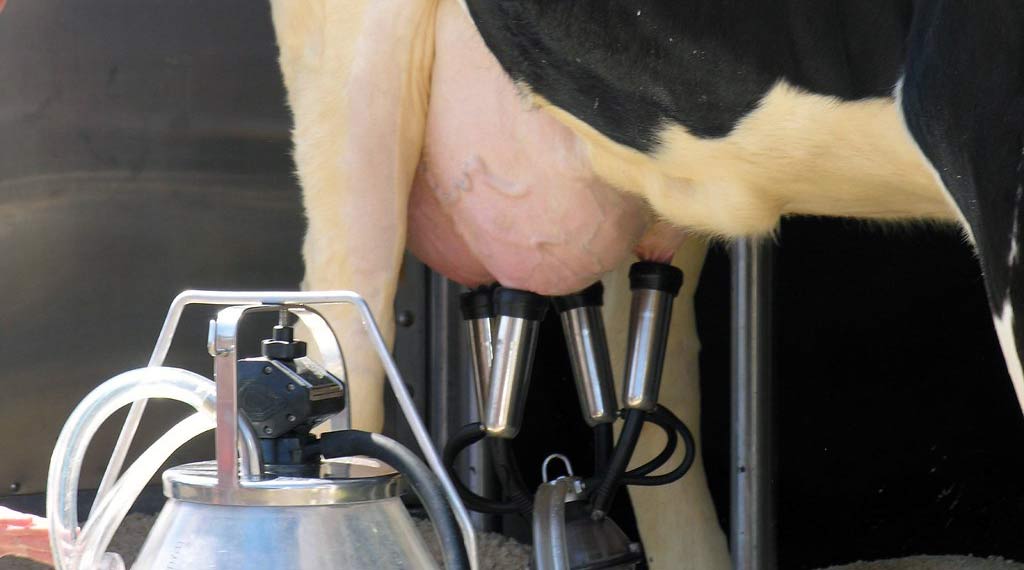Did you know that Cow´s Milk is now known to be one of the causes of cancer?