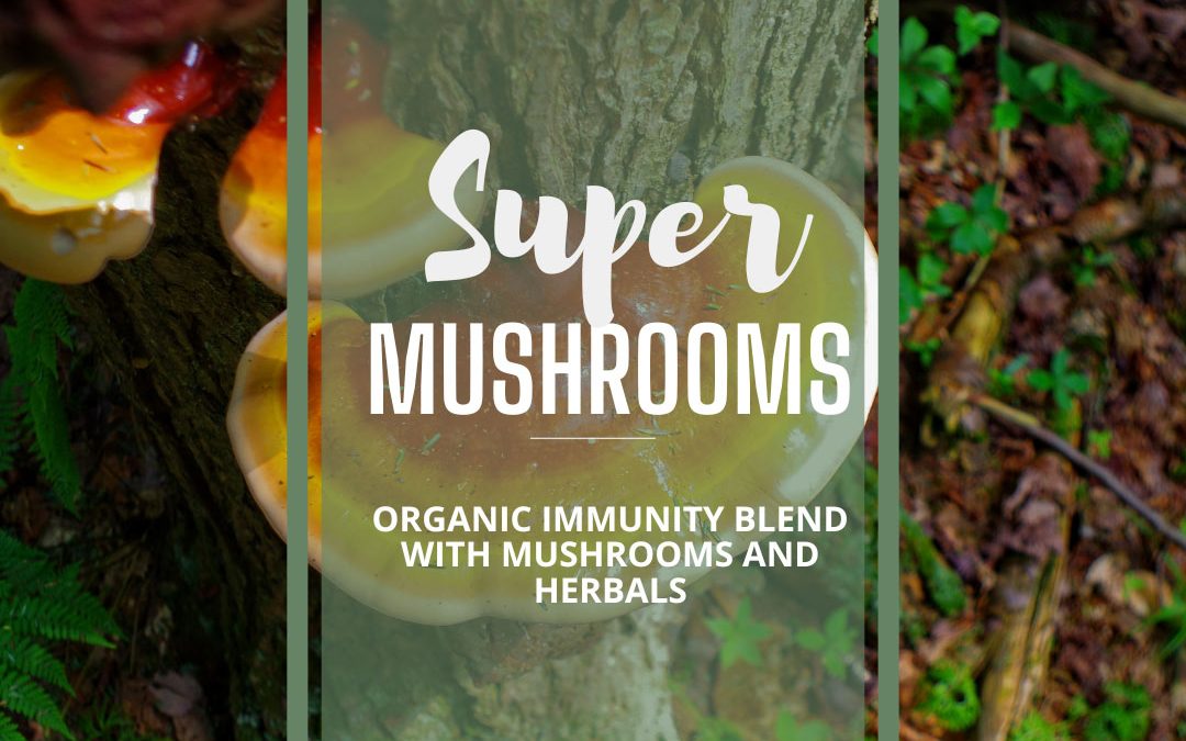 Introducing “Super Mushrooms” from Simply Naturals